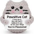 Positive Crochet Cat Christmas Birthday Gifts for Women Men Daughter Son Uncle Aunt Back to School Friend Coworker Desk Home Fall Decor Emotional Inspirational Support Crochet Animals Gift Idea