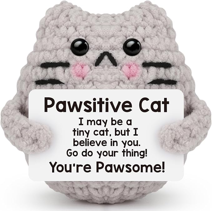 Positive Crochet Cat Christmas Birthday Gifts for Women Men Daughter Son Uncle Aunt Back to School Friend Coworker Desk Home Fall Decor Emotional Inspirational Support Crochet Animals Gift Idea
