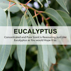 ROSE COTTAGE Large 12 Packs Eucalyptus Hanging Closet Deodorizer Air Freshener Long Lasting Scented Sachets Smell Goods for House