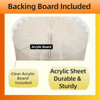 3Pcs Cylinder Display Stand - Foldable Paper Pedestal with Square Acrylic Plate for Shoes & Handbags, Retail Store, Boutique, Home & Wedding Decor, Party Events