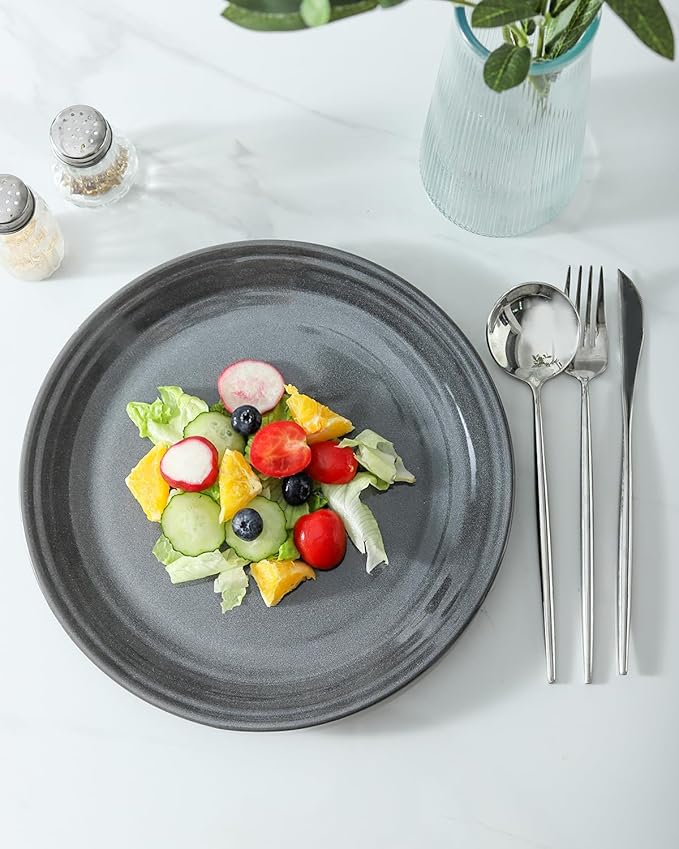 HASENSE Dinner Plates, 10 Inch Ceramic Serving Plates for Kitchen, Modern Round Dishes Set of 4, Scratch Resistant Salad Plates, Dishwasher and Microwave Safe, Grey