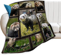 Cute Ferret Blanket for Women Girls Boys Men Funny Animal Ferrets Throw Blanket Plush Cozy Flannel Fleece Ultra Soft Fuzzy Blankets Gifts 80"X60"