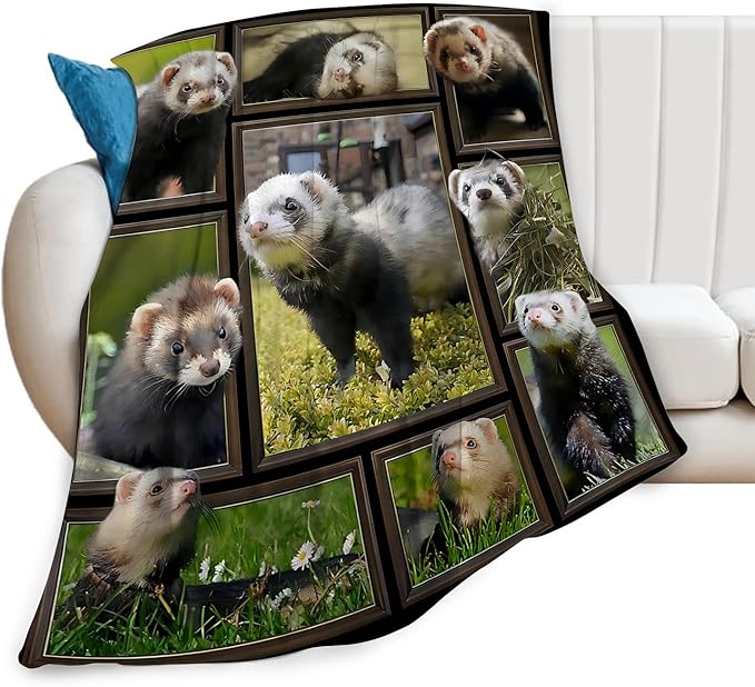 Cute Ferret Blanket for Women Girls Boys Men Funny Animal Ferrets Throw Blanket Plush Cozy Flannel Fleece Ultra Soft Fuzzy Blankets Gifts 80"X60"