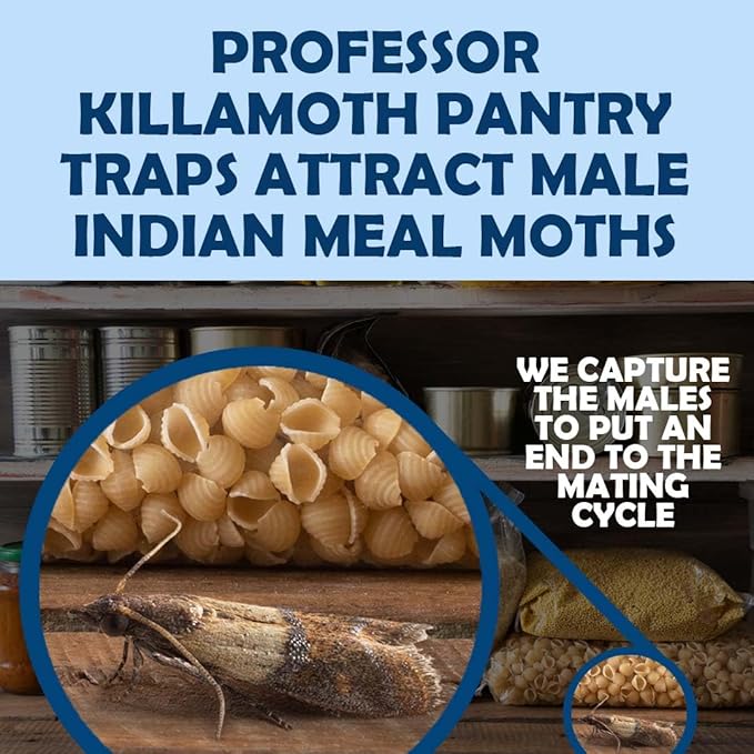 Pantry Moth Traps 6 Pack | New Blue Design | Child and Pet Safe | Premium Attractant