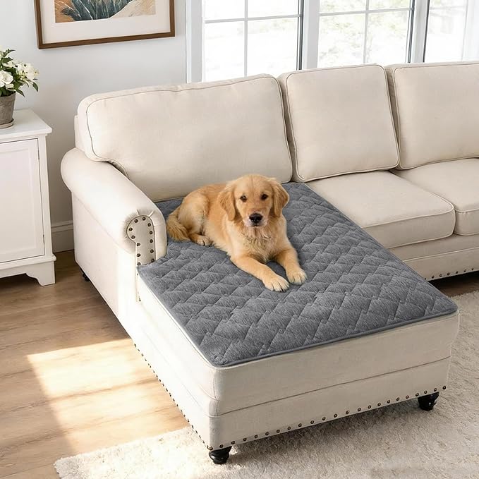 H.VERSAILTEX Couch Cover Chenille Pet Fuzzy Sofa Covers for 2 Cushion Couch Anti Slip Washable Sofa Slipcovers with Strap Soft Couch Protector Cover for Dogs Cats Kids(40" x 50", Light Grey)