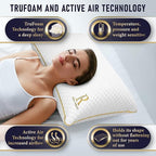 Royal Therapy 4-Pack Queen Memory Foam Pillow, Adjustable Shredded Pillow for Neck & Shoulder Pain Relief, Support for Back, Stomach, Side Sleepers
