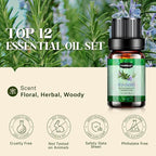 Essential Oils Set, Aromatherapy Essential Oil Kit for Diffuser, Humidifier, Massage, Skin Care (12 x 5ml) - Tea Tree, Lavender, Sweet Orange, Eucalyptus, Lemongrass, Peppermint