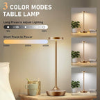 2 Pack LED Cordless Table Lamp Rechargeable，Outdoor Battery Operated Desk Lamp Touch 3 Color Dimming Portable Waterproof Night Light for Patio/Restaurant/Dining/Home (Titanium)