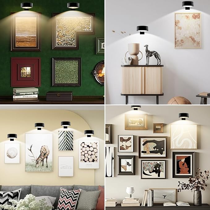 Wall Mounted Picture Light, Magnetic Poster Light, 13 Types of RGB, Remote Dimming Timer, Art Display Wall Mounted Decorative Light