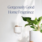 Aera Mini Home Fragrance Diffuser and Mini Moondance Scent Refill Bundle - for Rooms 100-500 Sq Ft - Alexa Compatible, Hypoallergenic, Family and Pet Safe, App Controlled