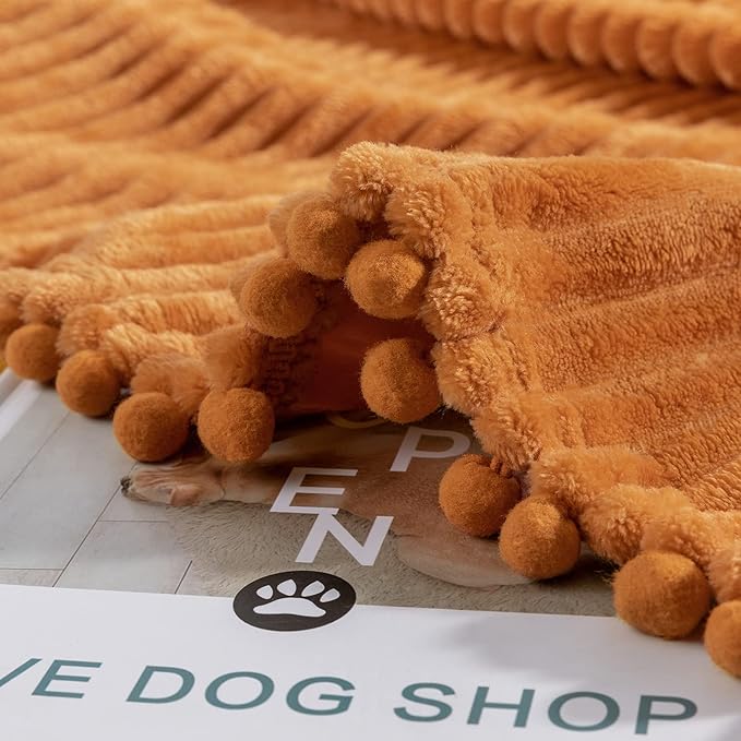 DISSA Fleece Blanket Throw Size – 51x63, Orange – Soft, Plush, Fluffy, Fuzzy, Warm, Cozy – Perfect Throw for Couch, Bed, Sofa - with Pompom Fringe - Flannel Blanket Throw Blanket