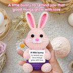 5 Pcs Finished Easter Positive Crochet Animals for Teen Girls & Adults Women, Handmade Filled Easter Basket with Crochet Bunny, Carrot, 2 Eggs, Easter Decoration Gifts Prefilled with Animal Stuffers