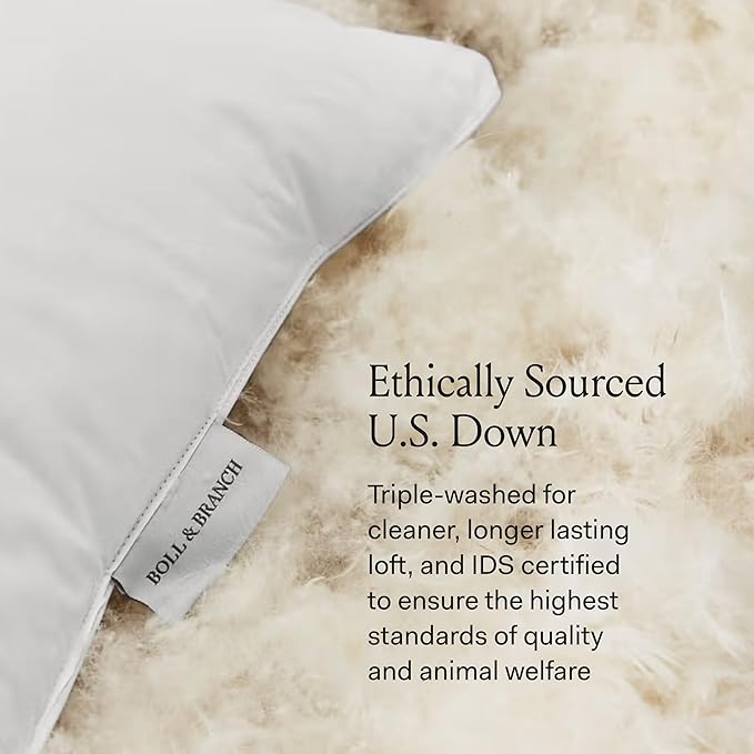 BOLL & BRANCH Down Chamber Pillow - Soft, Standard - Naturally Cooling Shell - Premium Comfort, Superior Support - Cruelty-Free IDS Certified Down