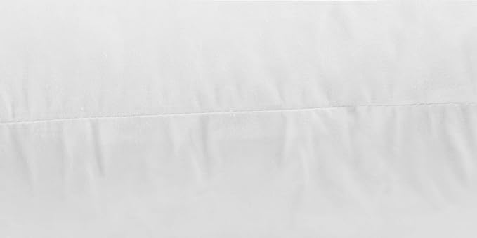 JA COMFORTS 16×16 Premium Goose Down Feather Throw Pillow Inserts(Set of 2)-5% Down Filling,High Filling Weight,250 TC Cotton Cover, Square, White