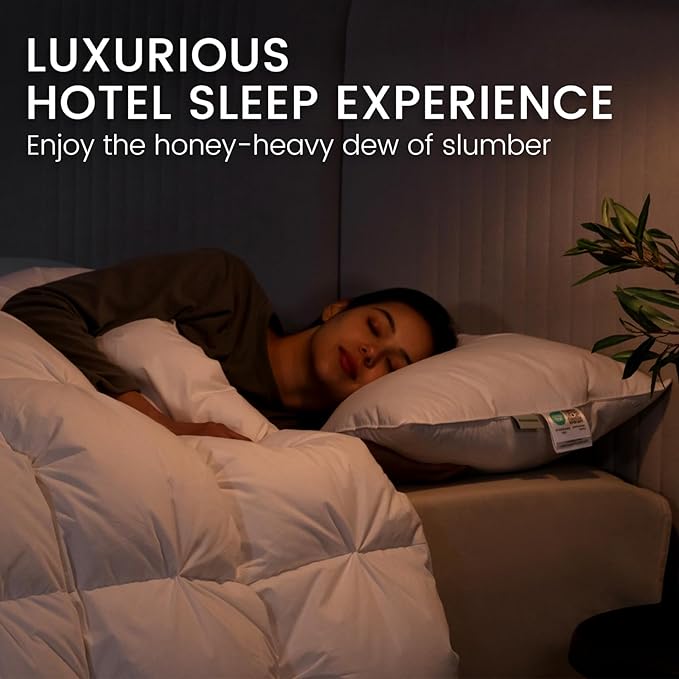 Alanzimo Goose Feathers Down Pillows Queen Size Set of 2, Hotel Collection Fluffy Bed Pillows for Sleeping, 100% Cotton Cover Soft Pillow 20x28 2 Pack