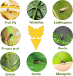 54 Pack Fruit Fly Trap for Indoor, Gnat Traps for House Indoor, Fungus Gnat Killer Sticky Traps for Plants, Mosquitoes, Flying Insects