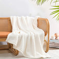 Ultra Soft Cozy Sherpa Throw Blanket, Solid Antique White Light Weight Warm Decorative Boho Style Plush Throw Blanket Cover for Sofa, Couch, Bedroom,Travel, Pattern Reversible, 60”x80”