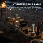 Rechargeable Cordless LED Table Lamps Touch Sensor Light, 3-Levels Portable Dimming Wireless Battery Operated Lamp，Nightstand Lamp/Night Light/Restaurant Table/Outdoor/Coffee/Bar (Silver)