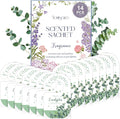 14 PCS Eucalyptus Sachets Bags for Drawers and Closets, Long Lasting Scented Sachets Air Fresheners, Natural Odor Eliminator, Home Fragrance for Wardrobe, Shoe Cabinet, Car & Bathroom Potpourri Bag