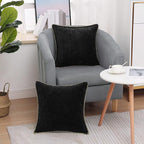 decorUhome Spring Chenille Soft Cozy Throw Pillow Covers 22x22 Set of 2, Modern Farmhouse Boho Velvet Decorative Euro Sham Pillow Cases with Stitched Edge for Couch Sofa Bed Home Decor, Black
