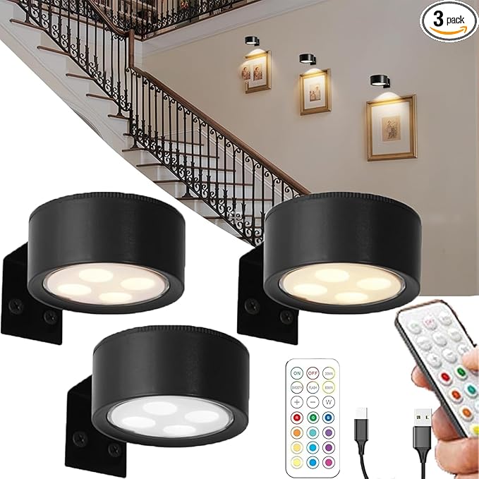 Wall Mounted Picture Light, Magnetic Poster Light, 13 Types of RGB, Remote Dimming Timer, Art Display Wall Mounted Decorative Light