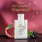 Glade PlugIns Refills Air Freshener, Pomegranate & Currant, Scented and Essential Oils for Home and Bathroom, 0.67 Fl Oz, 5 Count