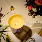 HomeLights Scented Candles | Large Jar 34 Oz Natural Soy Candle | 130 hrs Long-Lasting with 3 Wicks | Eclectic Mixed Styles Home Decor | Gifts for Mom & Women, Champagne Cassis & Honey