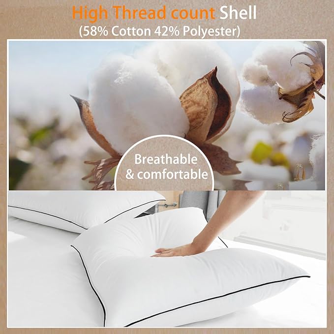 Luxurious Down Pillows - Standard Size, High Fill Power, Breathable Cotton Blend Shell,Down Pillow Ideal for Every Night (Off White, Standard (Pack of 2))