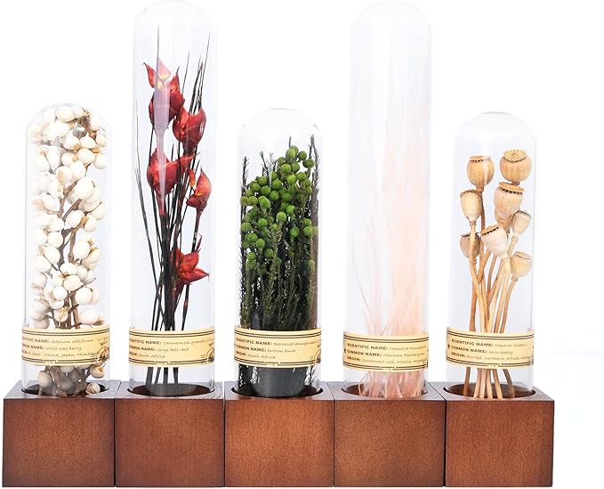 5Pcs Dried Flower Decor,Knick Knacks for Shelves,Cool Stuff for Bookshelf,Small Plants Decor for Office Shelves,Natural Green Plants Boho Shelf Decor,Apothecary Decor,Unique Gifts for Women,Friends