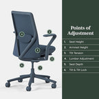 Branch Verve Chair - High Performance Executive Office Chair with Contoured Back and Adjustable Lumbar Support - High Density Foam Cushion and 3D Knit Back - Fits 5' to 6', Up to 275 lbs, Cobalt