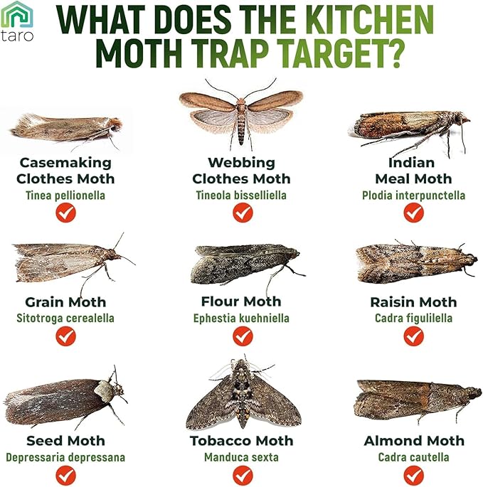 Taro Pantry Moth Traps with Pheromones - 6-Pack with Bonus Hangers - Moth Killer for Kitchen, Pantry, Closet - Sticky Moth Traps for House Indoor - Get Rid of Moths