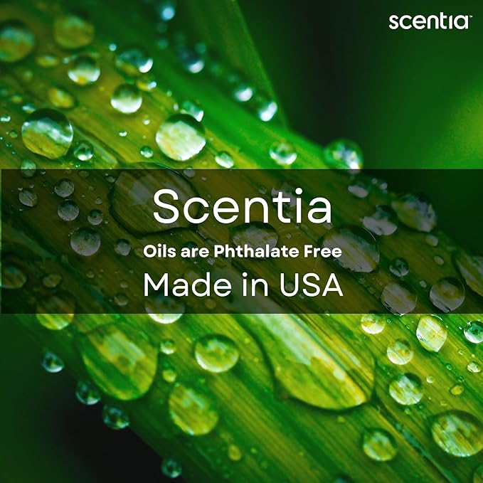 Fierce-Inspired Diffuser Oil - Scentia You Fragrance Oil Perfume Dupe - 20 mL, 0.67 Fl oz Diﬀusers and Humidifiers - A and F Inspired Essential Scented Oil - Best for Aromatherapy, Thanksgiving Gift