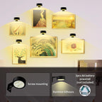 Wall Mounted Picture Light, Magnetic Poster Light, 13 Types of RGB, Remote Dimming Timer, Art Display Wall Mounted Decorative Light