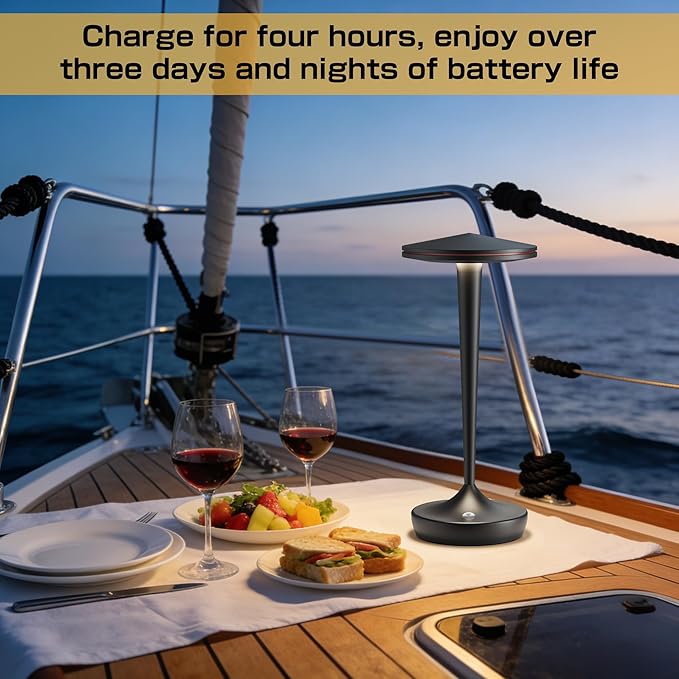 Cordless Lamp Rechargeable LED Table Light,48Hrs Battery Operated Table Lamp,Potable Lamp with Stepless Dimming and Waterproof Lamp for Kitchen,Dining,Shower,Outdoor Patio,Camping (2Pblack)