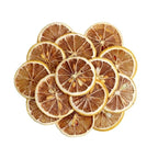 iGAOZM Dehydrated Dried Lemon Slices,3.52oz/100g,No Sugar Added,Natural Dried Lime Slices,Dehydrated Fruit for Cocktails Garnish,Craft Decoration,DIY