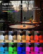 KDG 2 Pack Cordless Table Lamp, RGB Color Stepless Dimming Up, 4000mAh Battery Operated Portable LED Desk Lamp, for Dinning Room, Bedroom, Bar, Outdoor Garden, Camping, Night Light (Black)