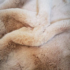 Ghouse Ultra Soft Faux Rabbit Fur Rug 4x6, Machine Washable Area Rugs for Bedroom Fluffy Rugs for Living Room, No-Shedding Carpet Sheepskin Rug Light Brown Beige