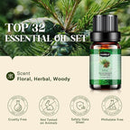 Essential Oils Set, Aromatherapy Essential Oil Kit for Diffuser, Humidifier, Massage, Skin Care (32 x 5ml) - Eucalyptus, Lavender, Tea Tree, Peppermint, Lemongrass, Frankincense, Cinnamon, Sandalwood