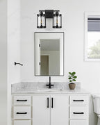 2-Light Black Bathroom Light Fixtures, 13.8 Inch Modern Bathroom Vanity Lighting Fixtures Over Mirror with Clear Glass and Metal Cage Wall Sconce Lights for Bath, E26, OS-3014BK-2W