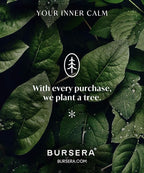 Bursera White Ceramic Bowl, Tree Planted With Every Order, Decorative With Side Slot for Matches, Smudging Burn for Sage, Palo Santo, Matchstick Holder, Form for Candles
