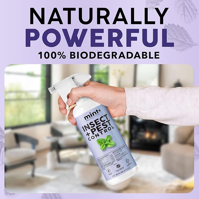 Mint+ Insect and Pest Control Spray, Residue-Free Bug Killer for Indoor & Outdoor Use, 16 oz (475mL)