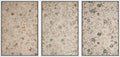 MUDECOR Framed Wall Art Print Set Vintage Floral Botanical in Neutral Tones Illustrations Realism Decorative for Living Room, Bedroom, Office - 24"x36"x3 White