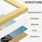Vittanly 15 Pack Picture Frames Collage Wall Decor for Mounting or Tabletop Display, Gallery Frame Set for Family, Multi Sizes Including 3pcs 8x10, 6pcs 5x7, 6pcs 4x6, Gold