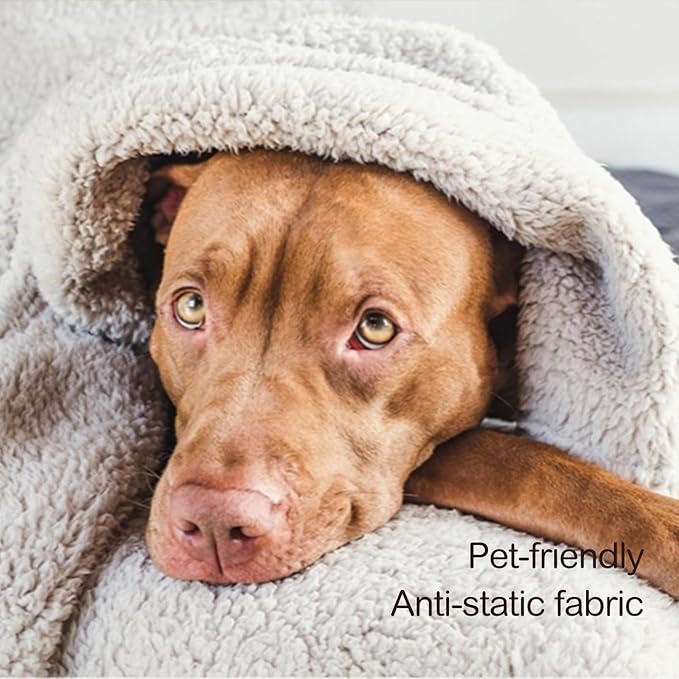 Ultra Soft Cozy Sherpa Throw Blanket, Light Weight Warm Decorative Throw Blanket with Tassel, 2 Tones Ombre Light Brown Pattern Reversible Boho Style Blanket for Sofa, Couch, Bedroom,Travel, 60”x80”