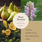Reed Diffuser Set –Scented Diffuser with Sticks Home Fragrance Diffusers for Home Reed Diffuser for Bathroom Shelf Decor (4.06oz Pear Freesia)