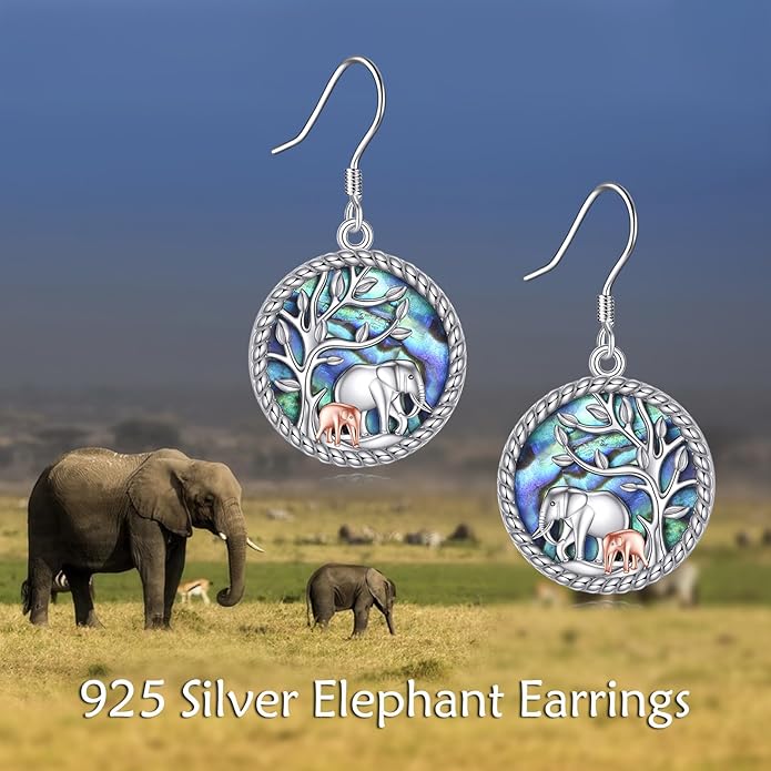 URONE 925 Sterling Silver Earrings Hook Dangle Earrings Jewelry Gifts for Women