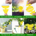 60 Pack Fruit Fly Trap for Indoors, Gnat Traps for House Indoor Gnat Killer, House Plant Gnats Bugs Sticky Killer Fruit Fly Traps for Indoor