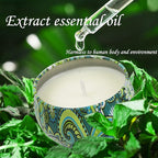 Aromatherapy Candles for Home Scented, 2 Pack 2.5 oz Natural Fresh Rosemary and Vanilla Scented Candles Gifts for Women, Portable Small Candles Gifts for Mother's Day, Birthday, Christmas