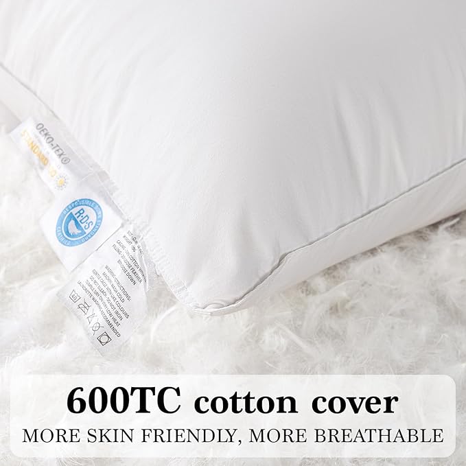 Shilucheng Goose Down Pillow Queen Size Set of 2 Pack,900+ Fill Power Luxury Hotel Quality Bed Feather Pillow for Side Back Stomach Sleepers, Soft 100% Cotton Shell（White,20" x 30"） FX
