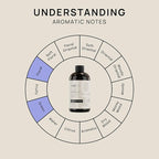 VINEVIDA (16oz) Hotel Fragrance Collection Diffuser Oil - Hotel Scents Diffusers for Home - Cold Air Diffuser Oil - Hotel Scent Essential Oil - Scent No.1013 Inspired by The Delano Hotel